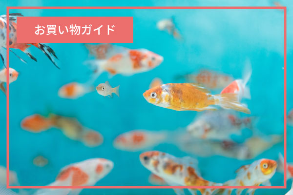 お買い物ガイド