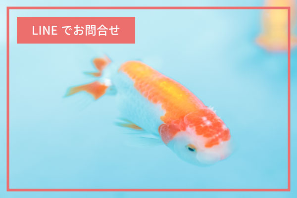 LINEでお問い合わせ